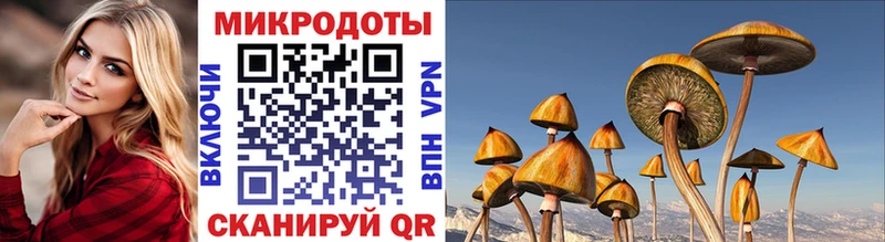 Псилоцибиновые грибы Cubensis  Купить закладки  Конаково 
